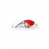 Isca Poseidon Splash BE 70S